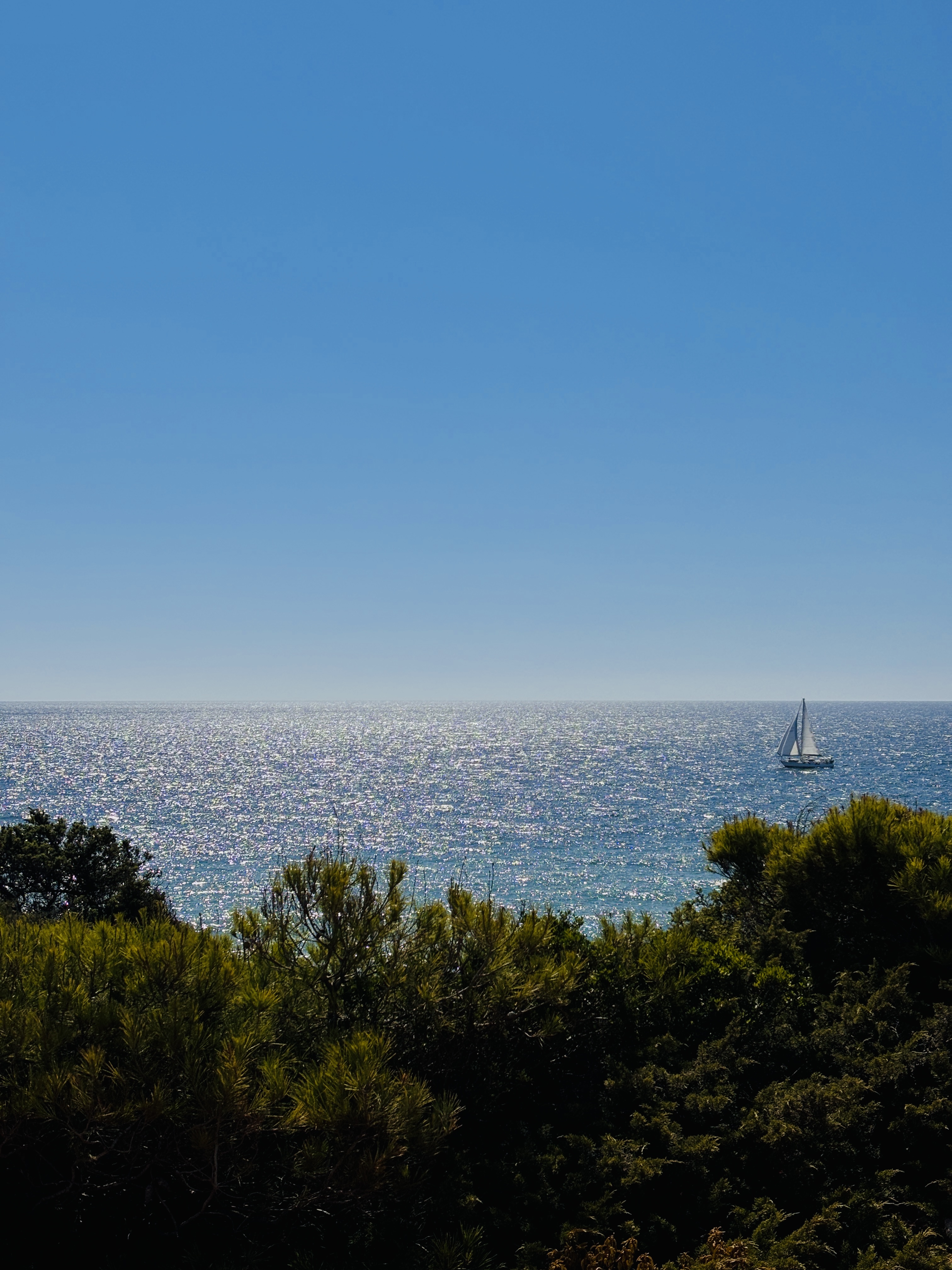 Mediterranean sea